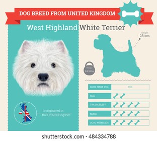 West Highland White Terrier Hunde züchten Vektorgrafiken. Dieser Hund züchtet aus Großbritannien