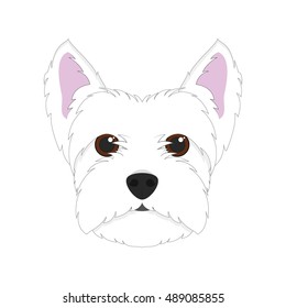 West Highland White Terrier dog isolated on white background vector illustration