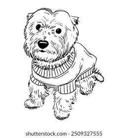 The West Highland White Terrier hand drawn sketch. Small dog. Domestic pet. Cute puppy in sweater. Animal for hunting. Dog breed bred in Scotland. Dog kennel. Vector outline line art illustration.