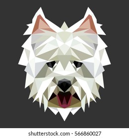 West Highland White Terrier. Low poly illustration.