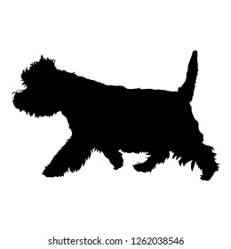 West Highland White Terrier on a white background. Silhouette. Vector illustration