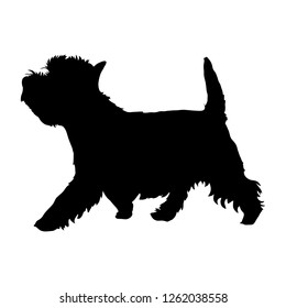 West Highland White Terrier on a white background. Silhouette. Vector illustration