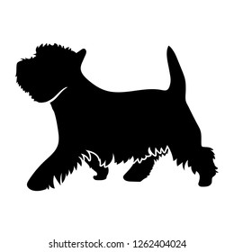 West Highland White Terrier on a white background. Silhouette. Vector illustration