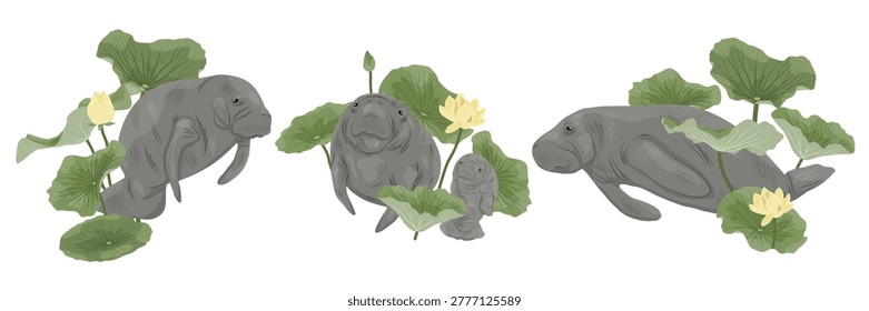 West Indian manatee set with American yellow lotus, sea cow and Nelumbo lutea isolated on white background. Marine mammal and aquatic plant collection for nature or botanical design