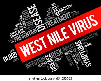 West Nile Virus word cloud collage, health concept background