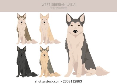 West Siberian Laika clipart. All coat colors set.  All dog breeds characteristics infographic. Vector illustration