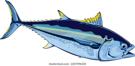 Western Atlantic Bluefin Tuna Fish