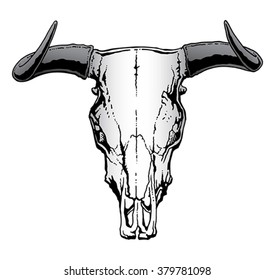 Western Bull Skull is an illustration of a bull or steer skull often used to represent a United States western or cowboy theme.