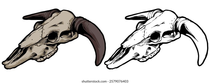 WESTERN bull skull Vector HAND DRAW cowboy RODEO