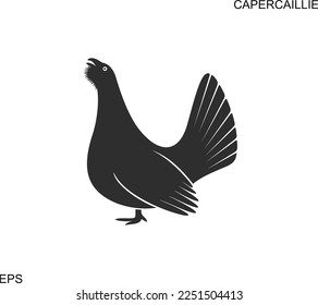 Capercaillie occidental, logotipo de grupo de madera. Capercaillie aislada sobre fondo blanco. Bird