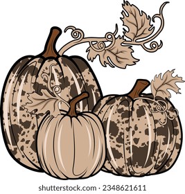 Western Cowhide Pumpkin, Pumpkin vector.