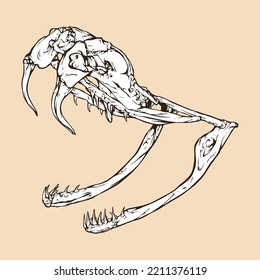 western diamondback rattlesnake skull head vector illustration