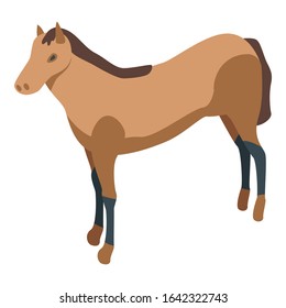 Western horse icon. Isometric of western horse vector icon for web design isolated on white background
