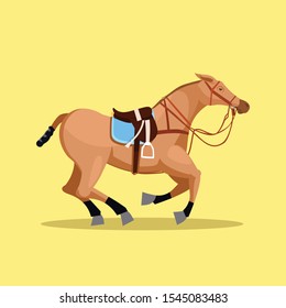 Western Horse with saddle and bridle - Sorrel American Quarter Horse standing in side view