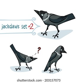 Western jackdaw, Corvus monedula, character design set number 1. Vector illustration, EPS 10. Contains transparent objects