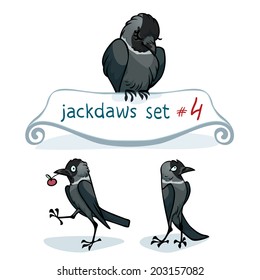 Western jackdaw, Corvus monedula, character design set number 1. Vector illustration, EPS 10. Contains transparent objects