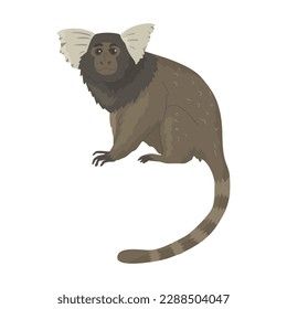 The western pygmy marmoset is a marmoset species. A small representative of the order of primates. Images for nature reserves, zoos and children's educational paraphernalia. Vector illustration. 