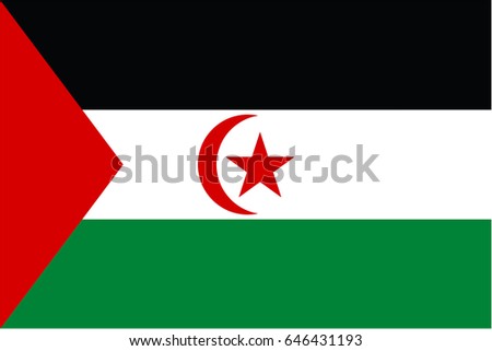 western sahara flag