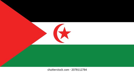 Western Sahara flag vector icon