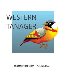 Western Tanager (Piranga ludoviciana). Vector illustration isolated birds. Yellow bird, Animals, bird silhouette, bird vector.