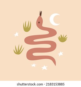 Western vector illustration with snake, grass and stars on isolated background. Wild west, mystical, boho, magic, esoteric concept