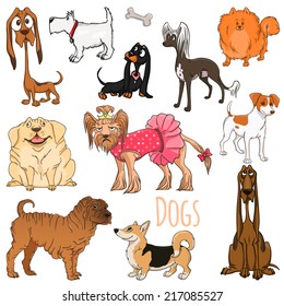 Westhighland terrier, bloodhound, Labrador Retriever, welsh corgi, chinese crested, jack russell terrier, dachshund, shar pei, yorkshire terrier, pomeranian.