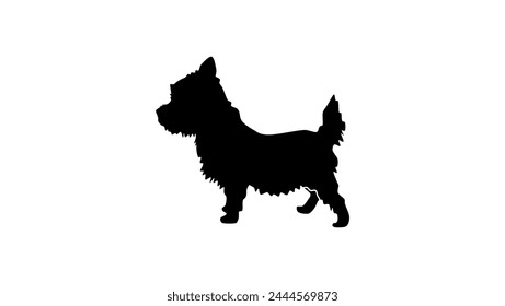 Westie dog, black isolated silhouette