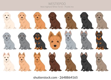 Westiepoo Clipart. West Highland White Terrier Poodle mix. Diferentes cores de casaco definido.  Ilustração vetorial