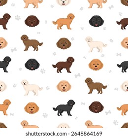 Westiepoo Clipart. West Highland White Terrier Poodle mix. Diferentes cores de casaco definido.  Ilustração vetorial