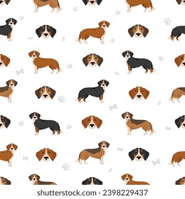 Westphalian dachsbracke seamless patternclipart. All coat colors set.  All dog breeds characteristics infographic. Vector illustration