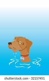 wet dog