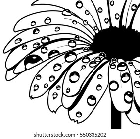 Wet Flower