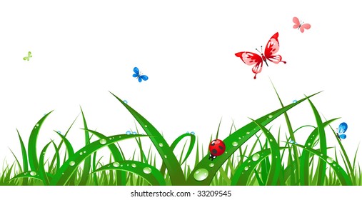  Wet grass and insects