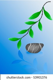 Wet pebble stone and green leaves. Vector Illustration.