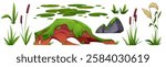 Wetland grass and moss stone set isolated on white background. Vector cartoon illustration of forest swamp, marsh or pond design elements, green water plant leaves, lawn on piece of land, tall rush