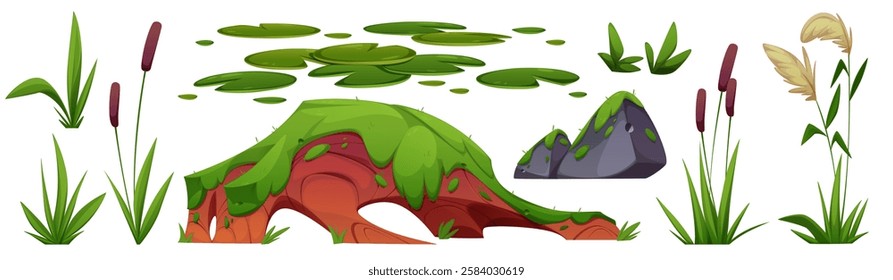 Wetland grass and moss stone set isolated on white background. Vector cartoon illustration of forest swamp, marsh or pond design elements, green water plant leaves, lawn on piece of land, tall rush