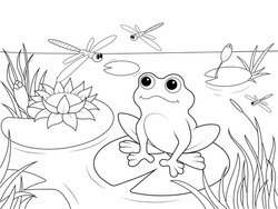 Wetland Landscape With Animals Coloring Book For Adults Vector Illustration. Black And White Lines Insect, Frog, Cane, Dragonfly, Fish, Water Lily, Water Lace Pattern Nature