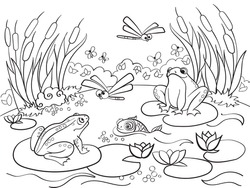 Wetland Landscape With Animals Coloring Book For Adults Vector Illustration. Anti-stress For Adult. Black And White Lines Insect, Frog, Cane, Dragonfly, Fish, Water Lily, Water Lace Pattern Nature