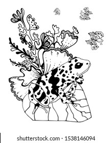Wetland landscape with animals coloring book for adults vector illustration. Anti-stress for adult. Black and white lines insect, frog, cane, dragonfly, water, water Lace nature