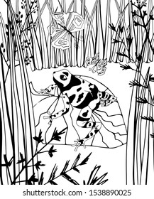 Wetland landscape with animals coloring book for adults vector illustration. Anti-stress for adult. Black and white lines insect, frog, cane, dragonfly, water, water Lace nature