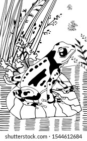 Wetland landscape with animals coloring book for adults vector illustration. Anti-stress for adult. Black and white lines insect, frog, cane, dragonfly, water, water Lace nature