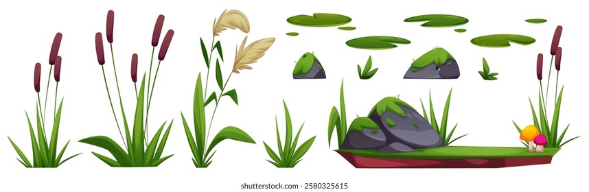 Wetland nature collection - brown cattails, beige pampas grass, moss covered rocks, green lily pads, bright mushrooms on clay ground. Cartoon swamp ecosystem elements for environment design.