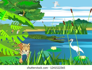 Wetlands, on the lake, vector landscape, jaguar, american pantanal