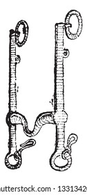 Weymouth Curb Bit, vintage engraved illustration. Dictionary of Words and Things - Larive and Fleury - 1895