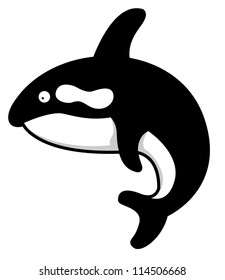 whale