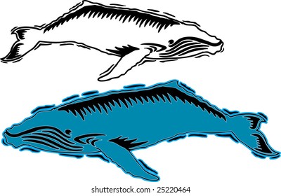 whale