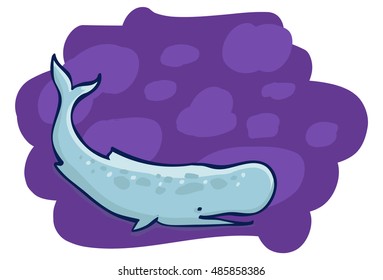 whale