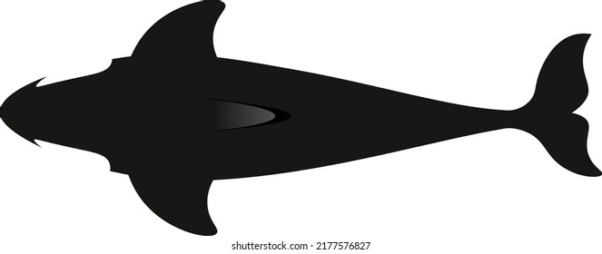 whale 2d top view vector.