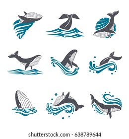 Whale among sea waves and splashes vector icon set. Illustration of a diving and floating whale in the blue sea. Marine mammal icon on white background.