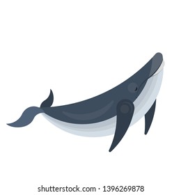 Whale animal. Big creature from the sea or ocean. Underwater beautiful fish. Isolated vector illustration in cartoon style